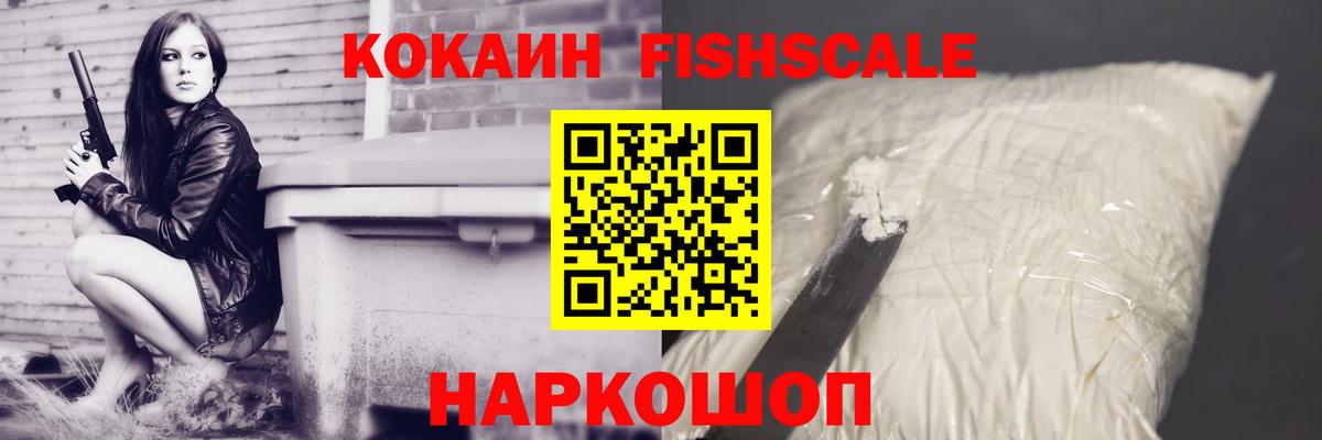 Cocaine  Вход с VPN  Новозыбков  КОКАИН FishScale  КОКАИН FishScale 