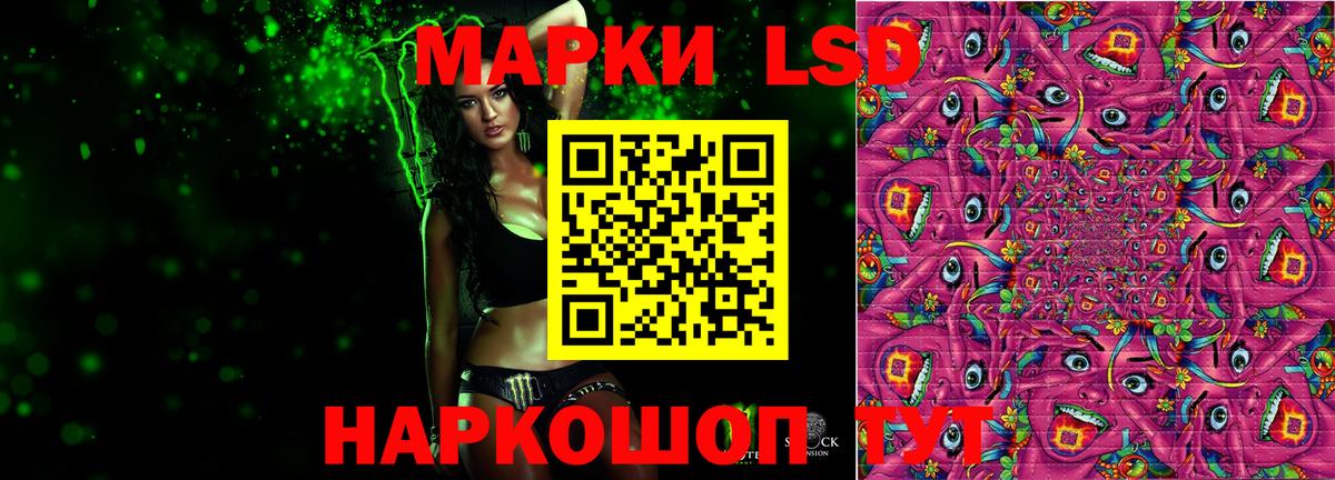 Лсд 25 экстази  Вход с VPN  Новозыбков  hydra зеркало  LSD-25 экстази ecstasy 