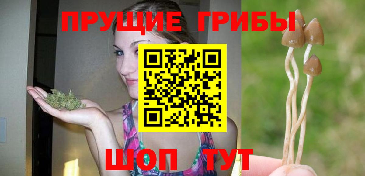 Псилоцибиновые грибы мухоморы Новозыбков
