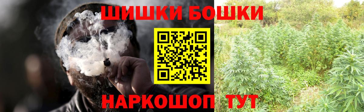 Новозыбков  Канабис White Widow  Конопля тримм  Конопля OG Kush  Вход с VPN  Бошки марихуана Bruce Banner 